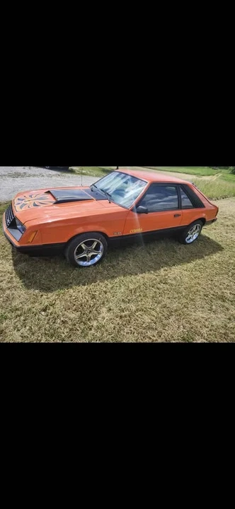 1979 Ford Mustang 3rd Gen - Image 19 of 19