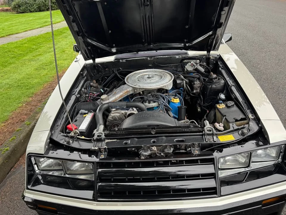 1979 Ford Mustang 3rd Gen - Image 17 of 19