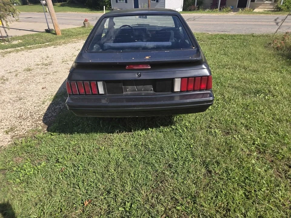 1979 Ford Mustang 3rd Gen - Image 2 of 10