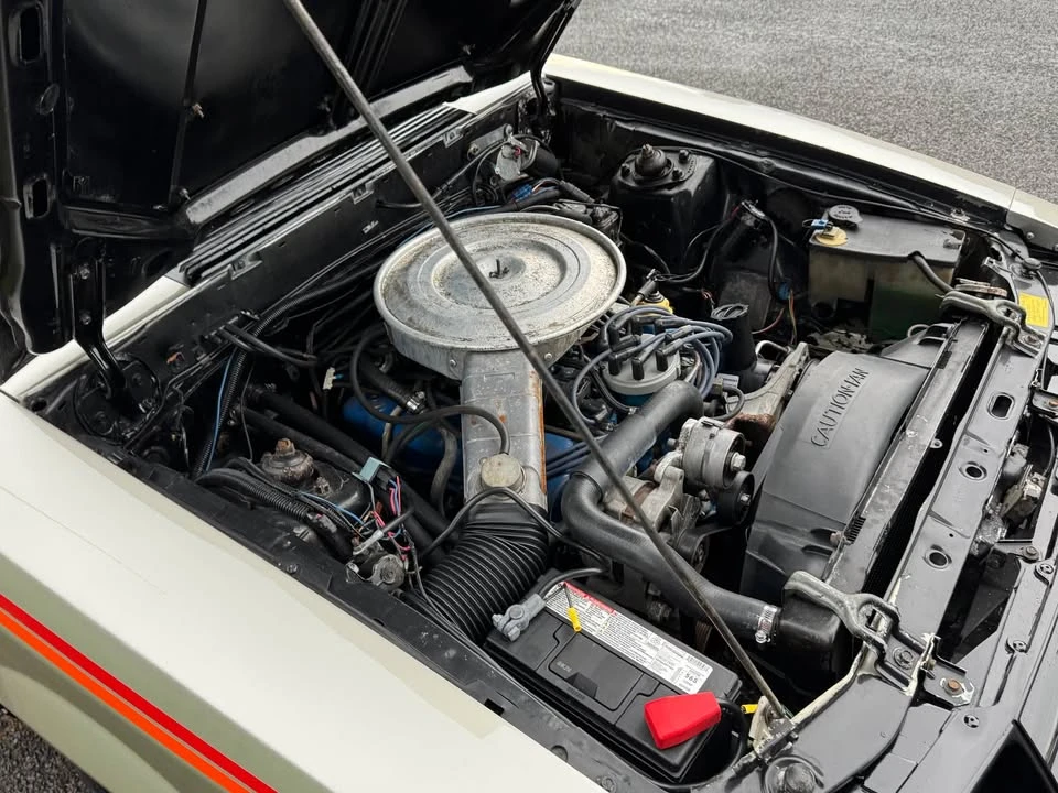 1979 Ford Mustang 3rd Gen - Image 16 of 19