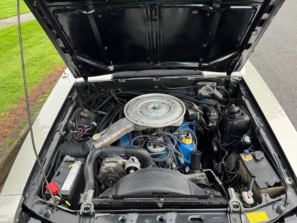 1979 Ford Mustang 3rd Gen - Image 14 of 19