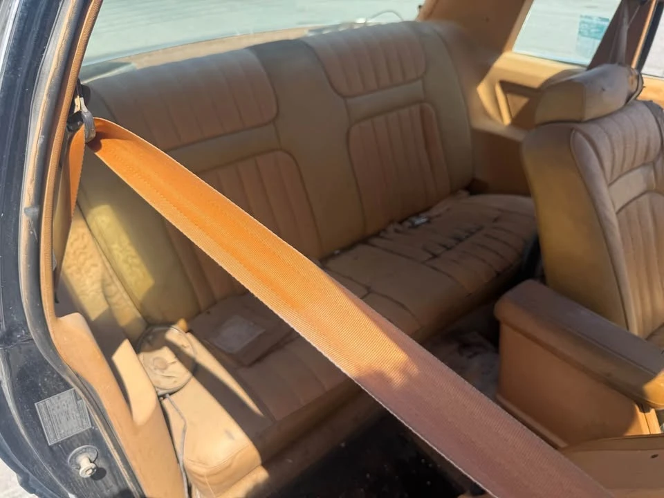 1979 Ford Mustang 3rd Gen - Image 9 of 10