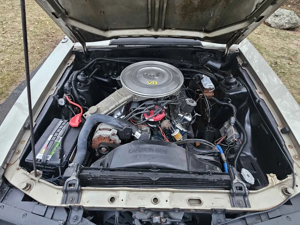 1979 Ford Mustang 3rd Gen - Image 11 of 21