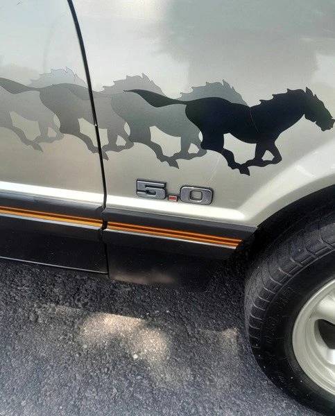 1979 Ford Mustang 3rd Gen - Image 13 of 20