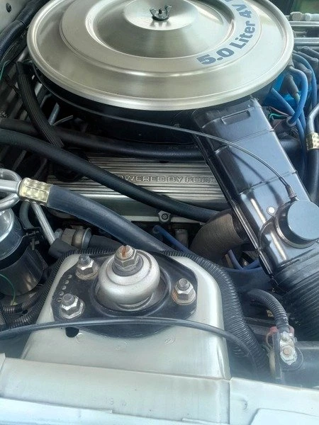 1979 Ford Mustang 3rd Gen - Image 12 of 20
