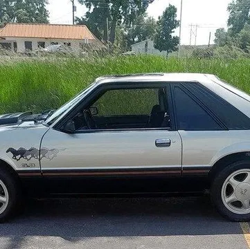 1979 Ford Mustang Pace Car