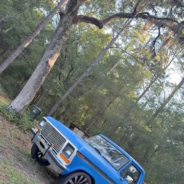 1979 Ford F100