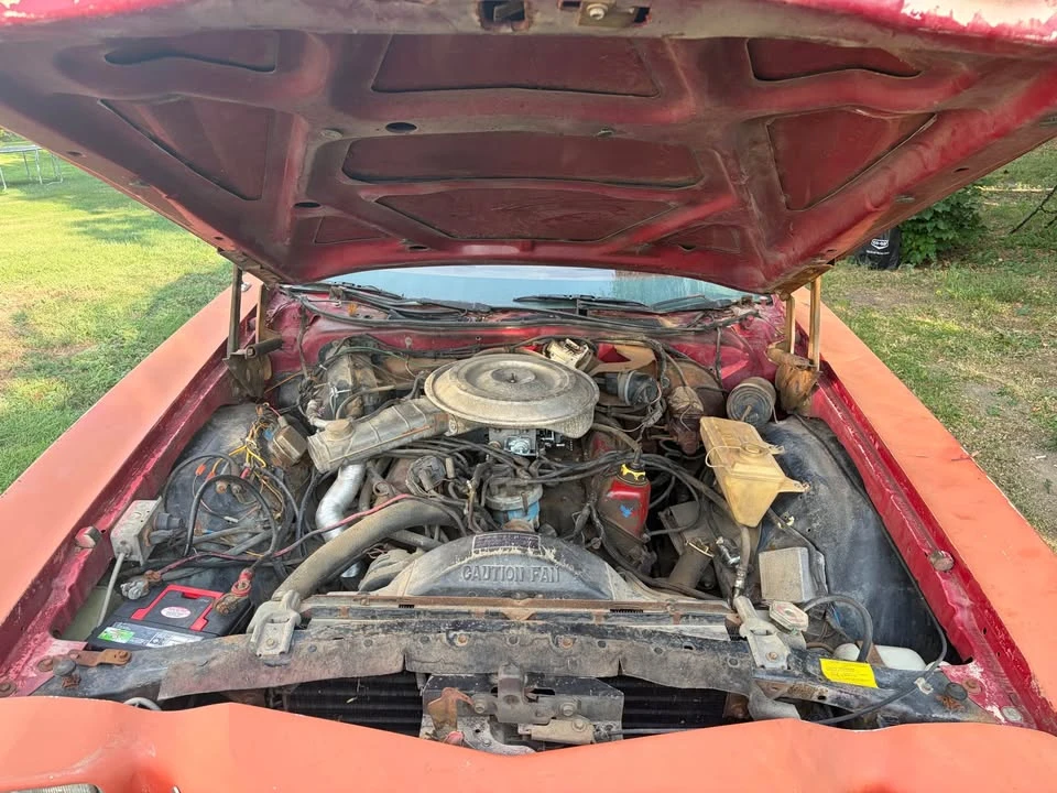 1979 Ford Ranchero 5th-7th Gen - Image 7 of 20