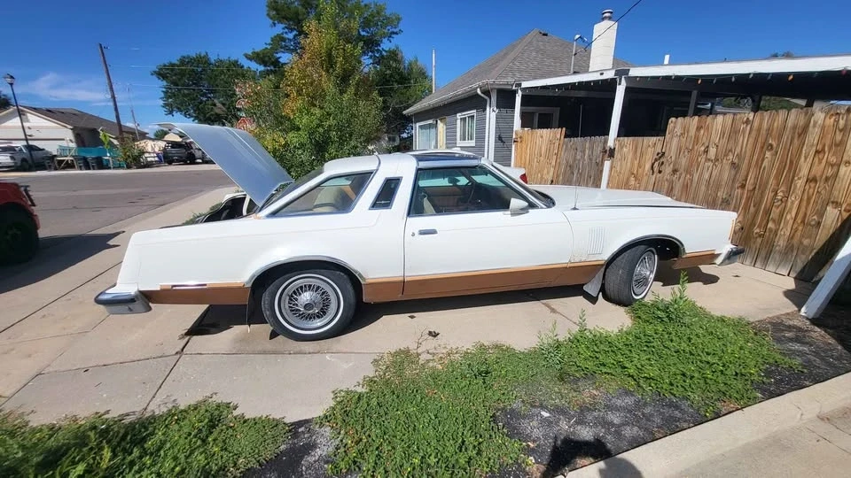 1979 Ford Thunderbird 7th Gen - Image 14 of 17