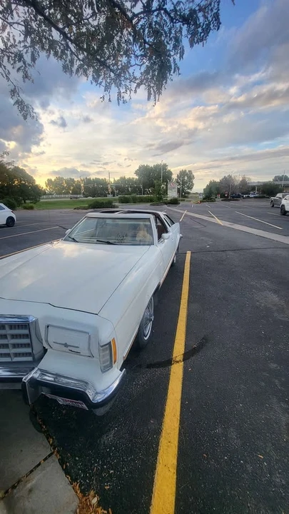 1979 Ford Thunderbird 7th Gen - Image 5 of 17