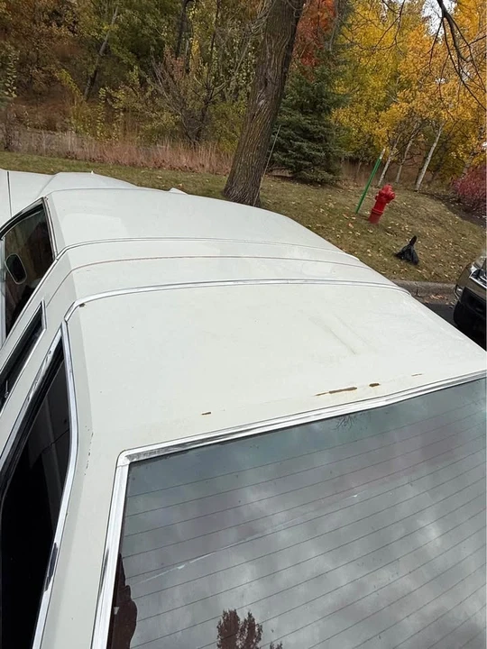 1979 Ford Thunderbird 7th Gen - Image 7 of 8
