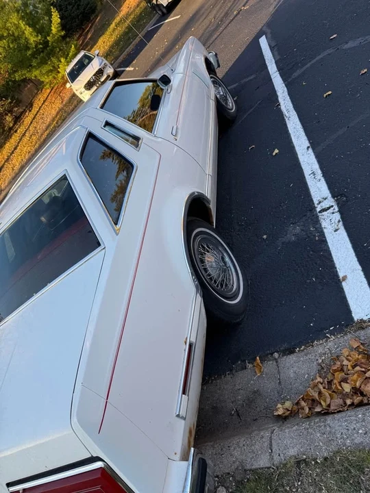 1979 Ford Thunderbird 6th Gen - Image 10 of 10