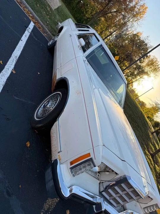 1979 Ford Thunderbird 6th Gen - Image 11 of 11