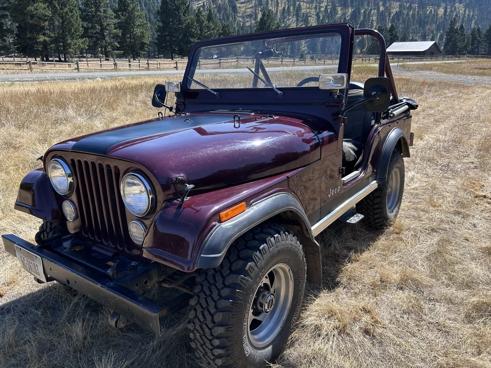 1979 Jeep CJ5 - Image 12 of 31