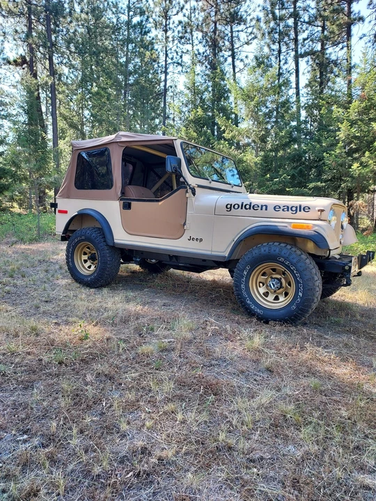 1979 Jeep CJ7 - Image 13 of 31