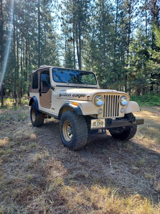 1979 Jeep CJ7 - Image 14 of 31