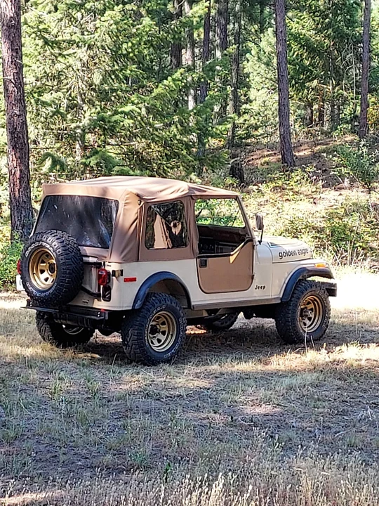 1979 Jeep CJ7 - Image 10 of 31