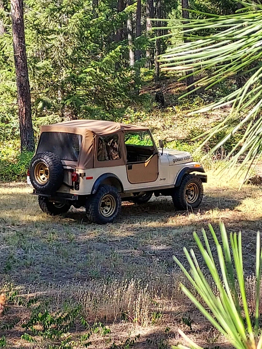 1979 Jeep CJ7 - Image 9 of 31