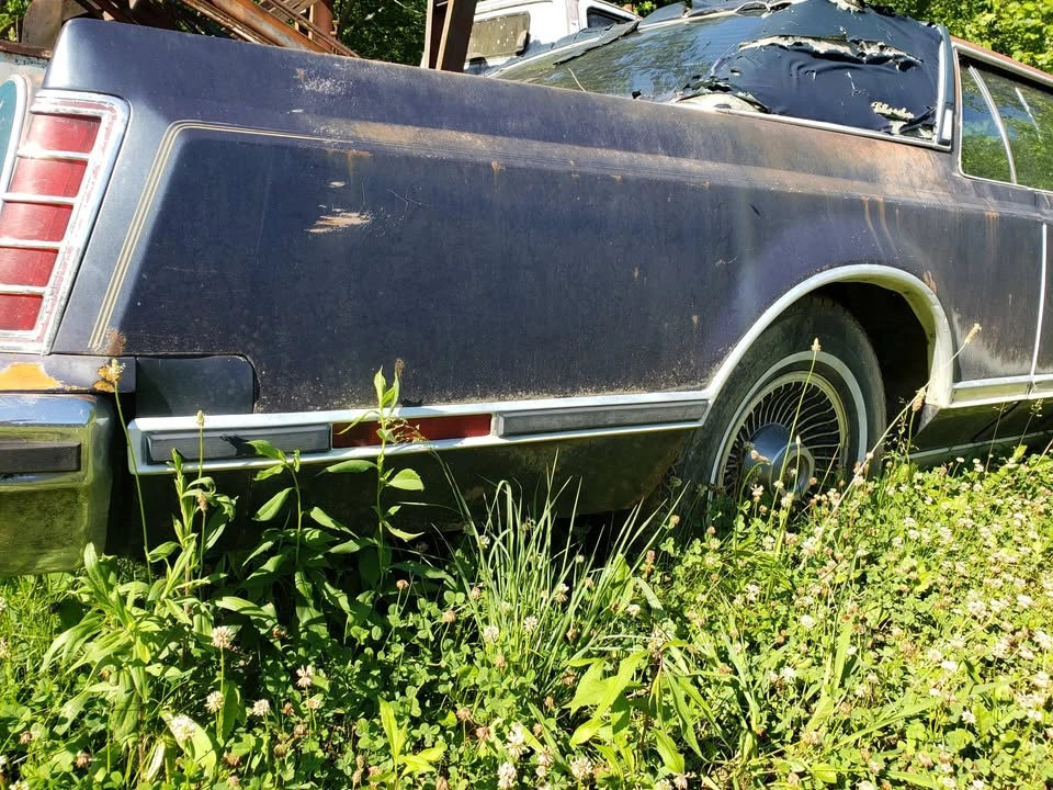 1979 Lincoln Continental 5th Gen - Image 5 of 10
