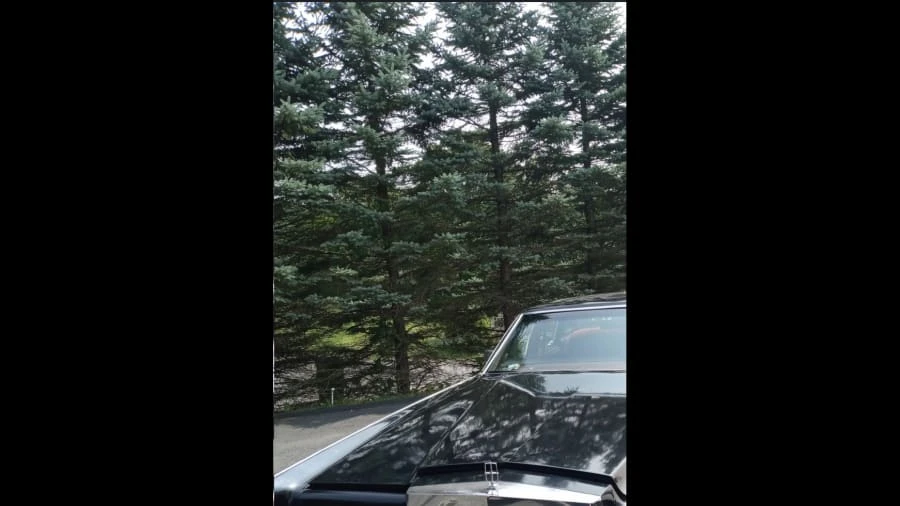 1979 Lincoln Continental 5th Gen - Image 8 of 11