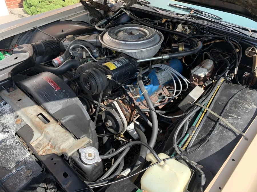 1979 Lincoln Continental Mark V - Image 6 of 9
