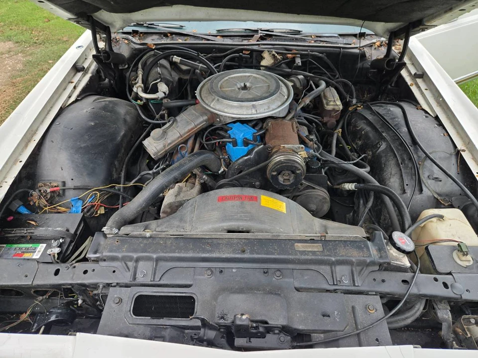 1979 Lincoln Continental Mark V - Image 9 of 24