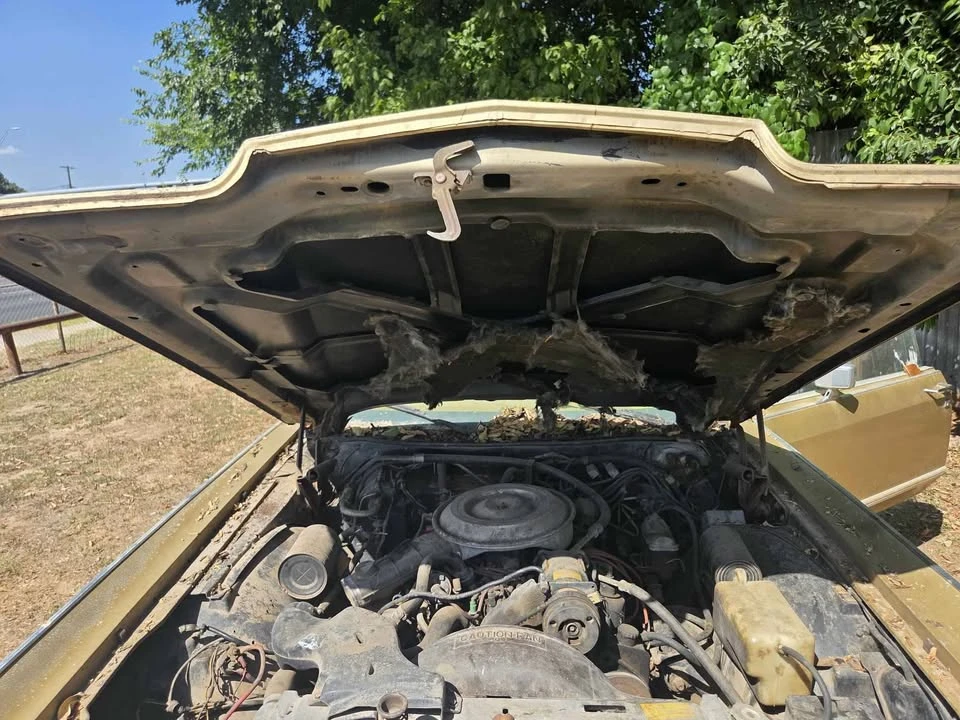 1979 Lincoln Continental 5th Gen - Image 19 of 20