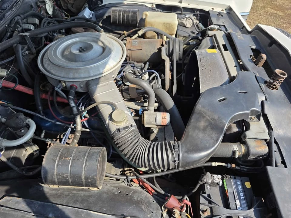 1979 Lincoln Continental 5th Gen - Image 5 of 15