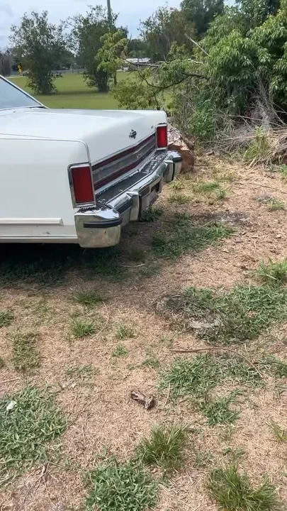 1979 Lincoln Continental 5th Gen - Image 15 of 15