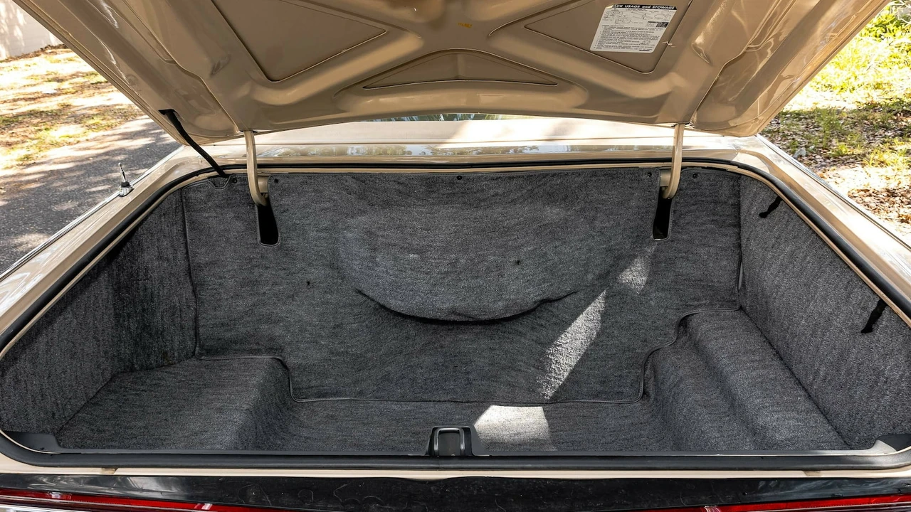 1979 Lincoln Continental 5th Gen - Image 24 of 31