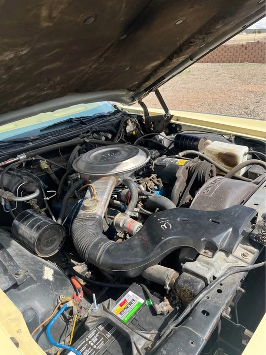 1979 Lincoln Town Car - Image 12 of 18