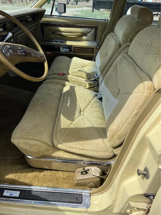 1979 Lincoln Town Car - Image 10 of 18