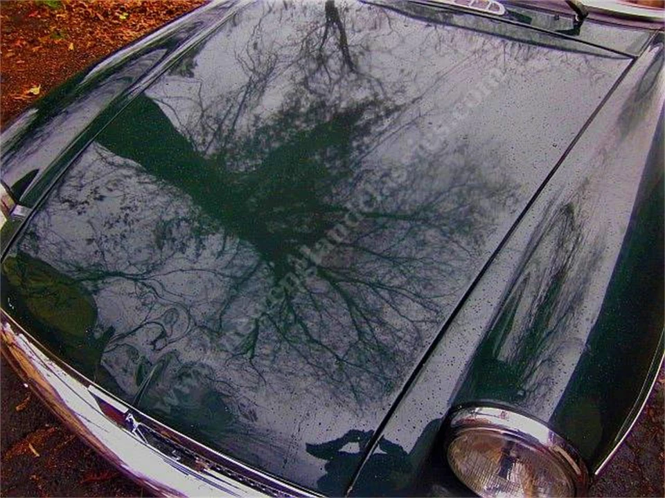 1979 MG MGB Roadster - Image 8 of 25