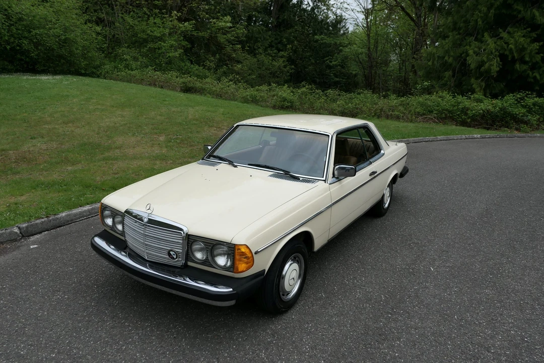 1979 Mercedes-Benz W123 Coupe (C123) - Image 3 of 31