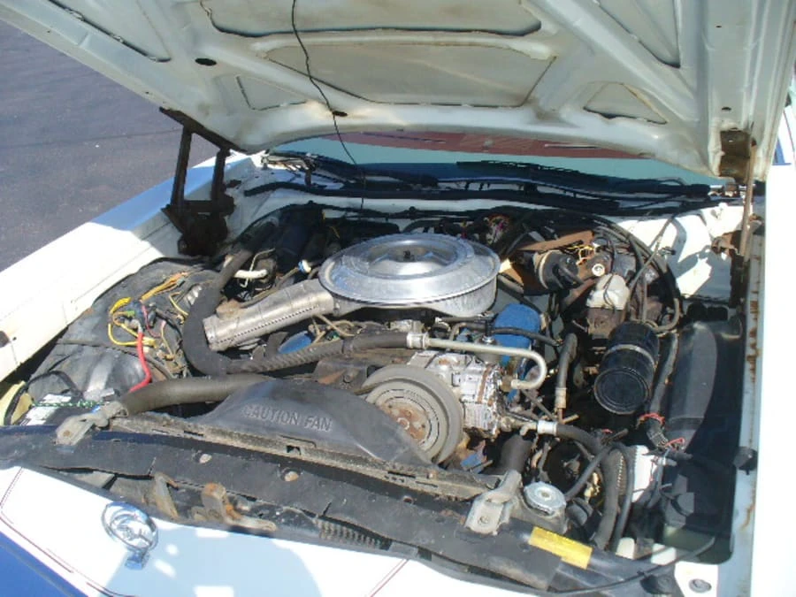 1979 Mercury Cougar 4th+ Gen - Image 6 of 6