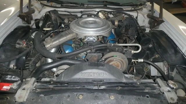 1979 Mercury Cougar 4th+ Gen - Image 17 of 19