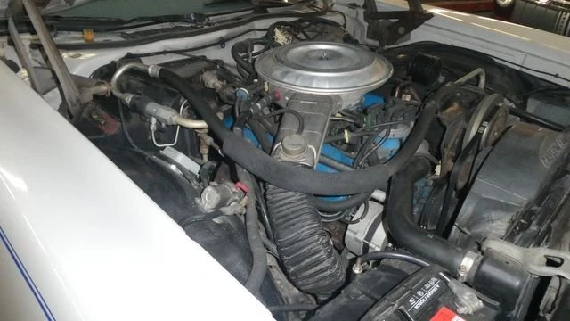 1979 Mercury Cougar 4th+ Gen - Image 19 of 19