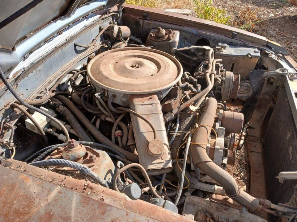 1979 Ford Mustang 3rd Gen - Image 3 of 4