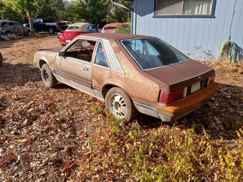 1979 Ford Mustang 3rd Gen - Image 2 of 4