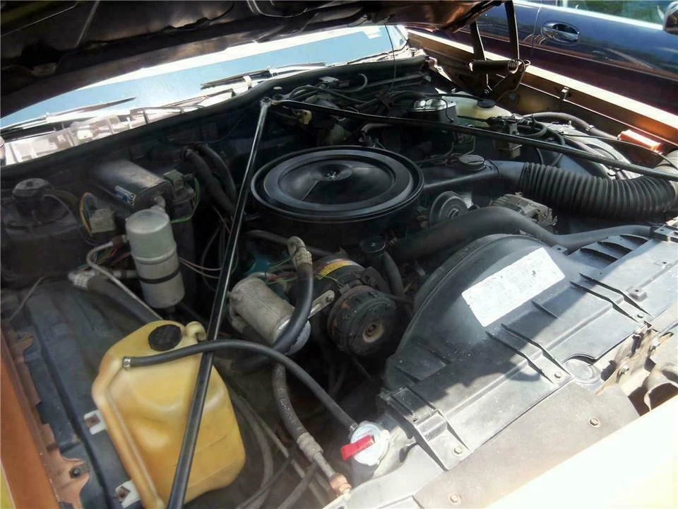 1979 Oldsmobile 88 - Image 3 of 4
