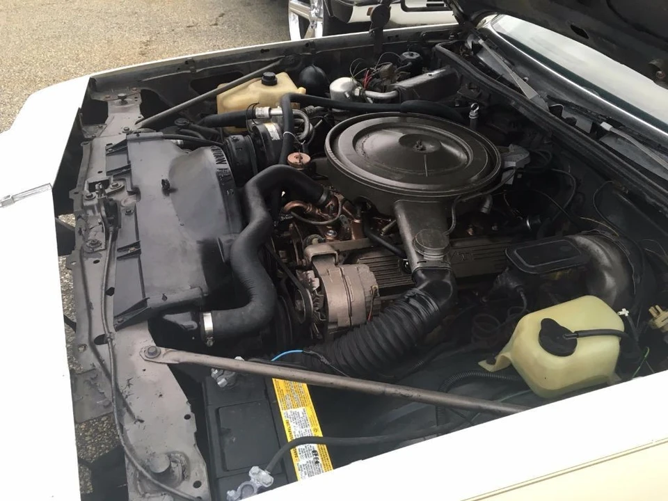 1979 Oldsmobile Hurst/Olds 442 - Image 21 of 21