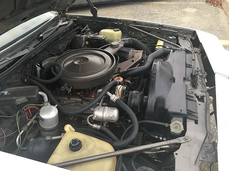1979 Oldsmobile Hurst/Olds 442 - Image 19 of 21