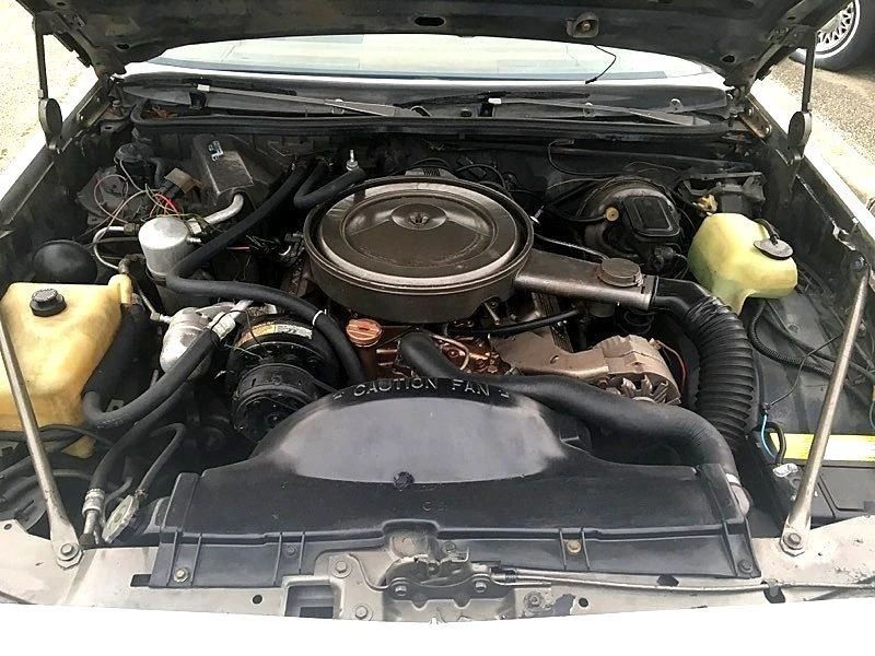 1979 Oldsmobile Hurst/Olds 442 - Image 20 of 21