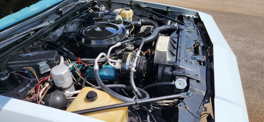 1979 Oldsmobile Hurst/Olds 442 - Image 12 of 19