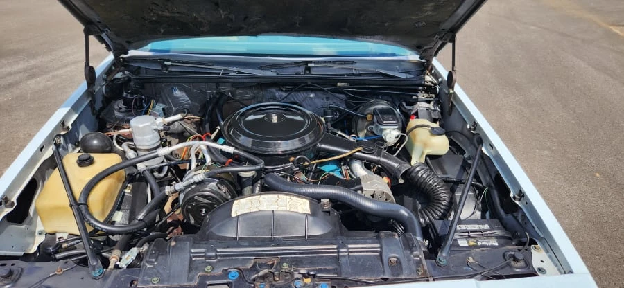 1979 Oldsmobile Hurst/Olds 442 - Image 13 of 19