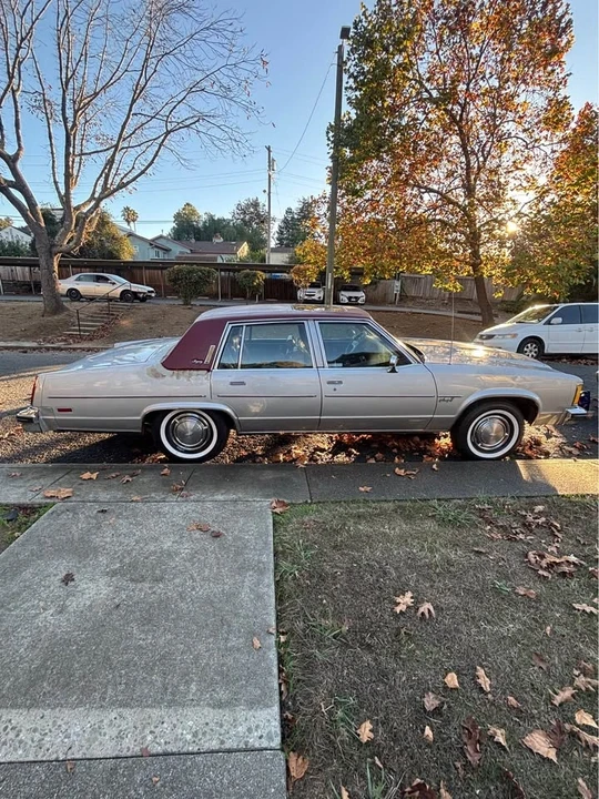 1979 Oldsmobile 98 - Image 4 of 7