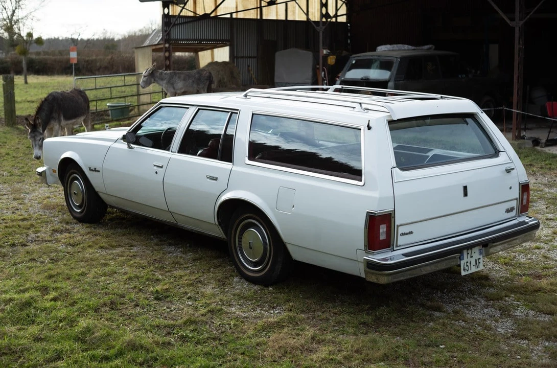 1979 Oldsmobile Custom Cruiser - Image 9 of 30