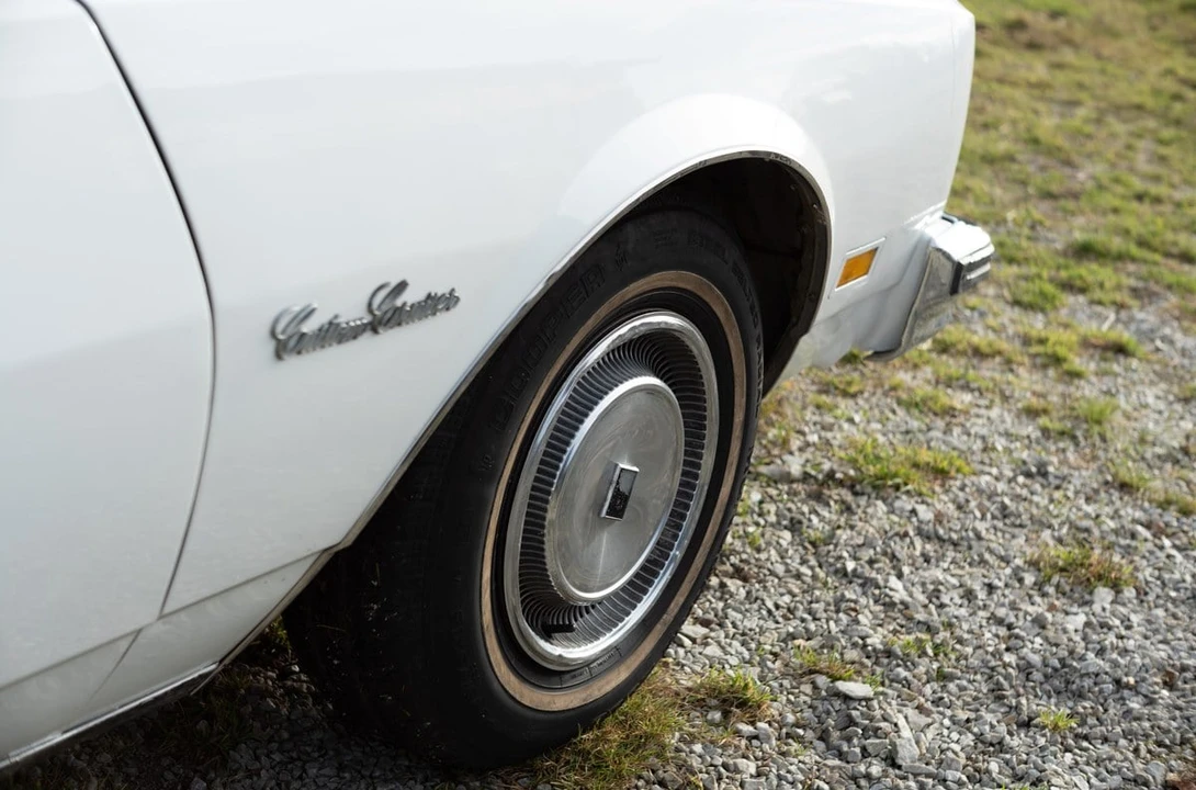 1979 Oldsmobile Custom Cruiser - Image 14 of 30