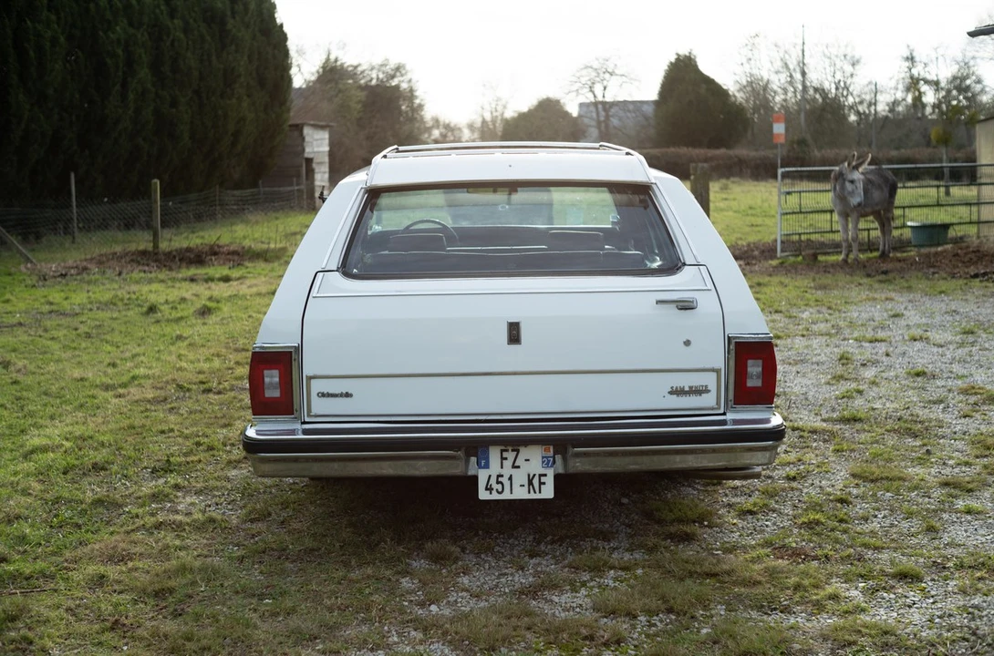 1979 Oldsmobile Custom Cruiser - Image 7 of 30