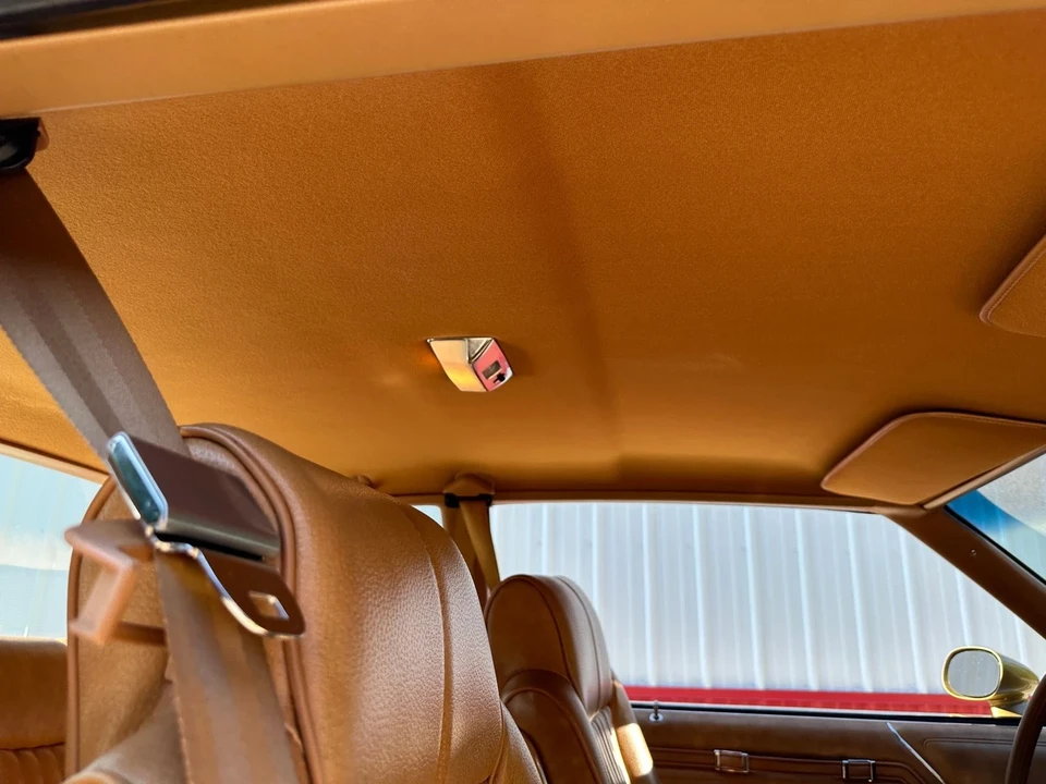 1979 Oldsmobile Hurst/Olds - Image 19 of 21